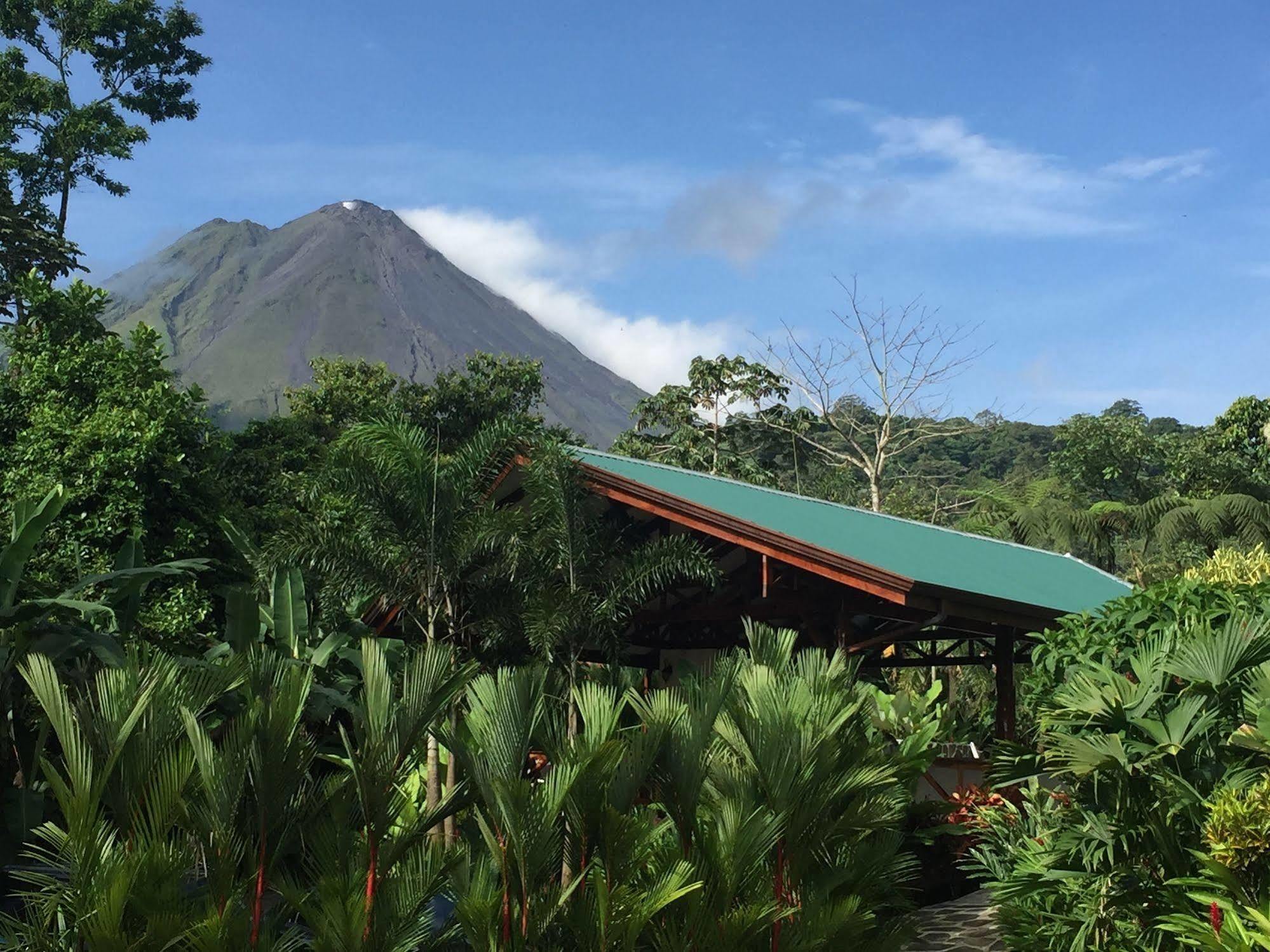 Mussaenda, Arenal 호텔 La Fortuna 외부 사진